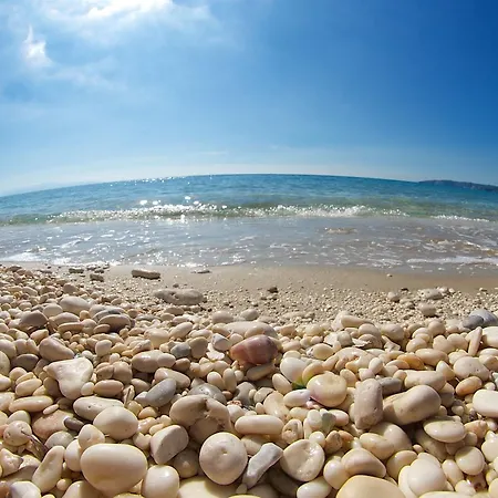 Summer Dream