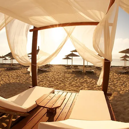 Summer Dream Влахата