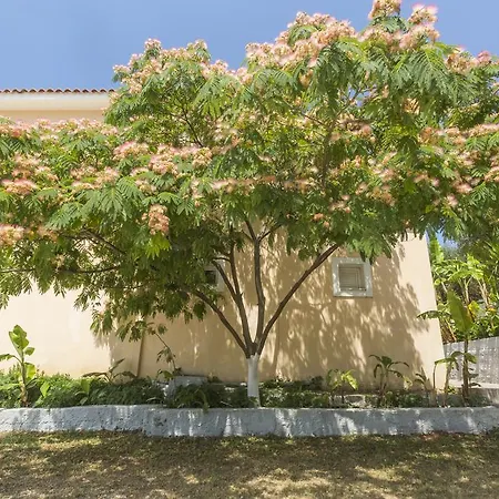 Aparthotel Summer Dream 2*