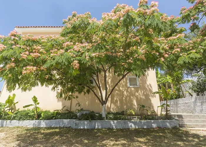 Hotel apartamentowy Summer Dream 2*