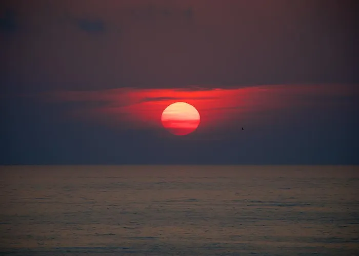 Summer Dream Vlachata