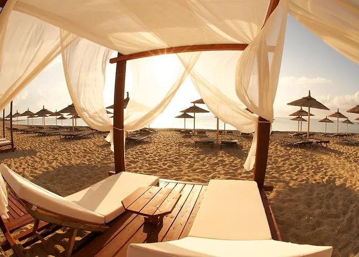 Summer Dream Vlachata